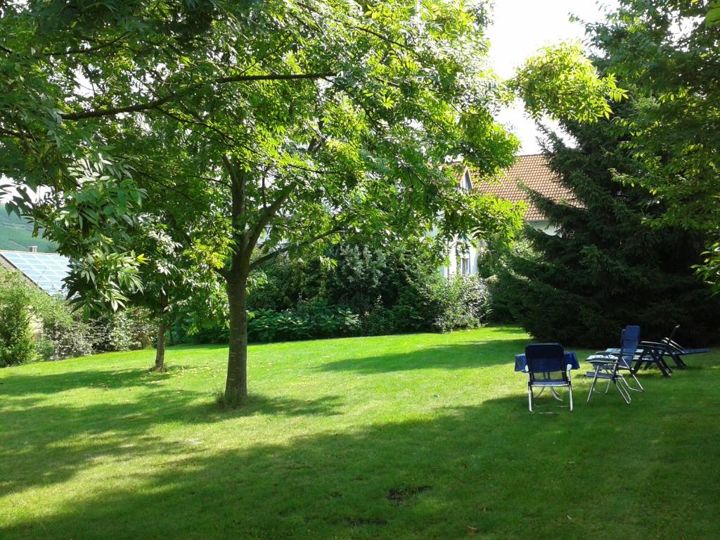 Hotelpension Gästehaus Birgit photo 4