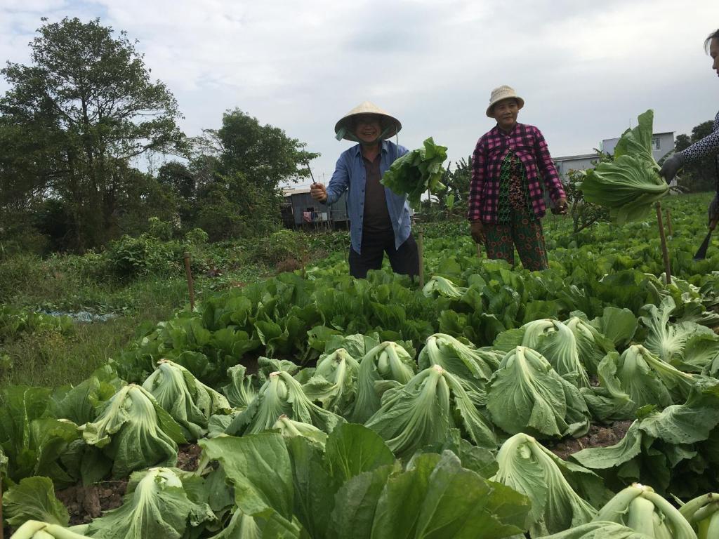 Chau Doc Homestay