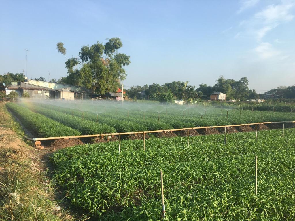 Chau Doc Homestay