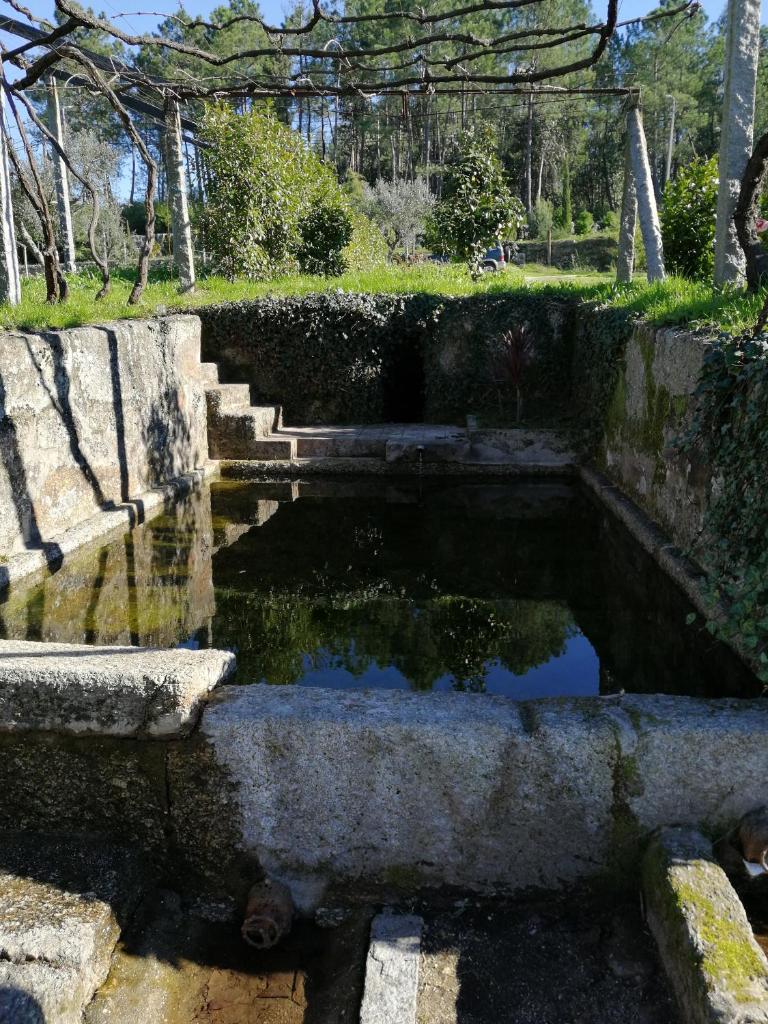 Quinta do Santinho photo 1