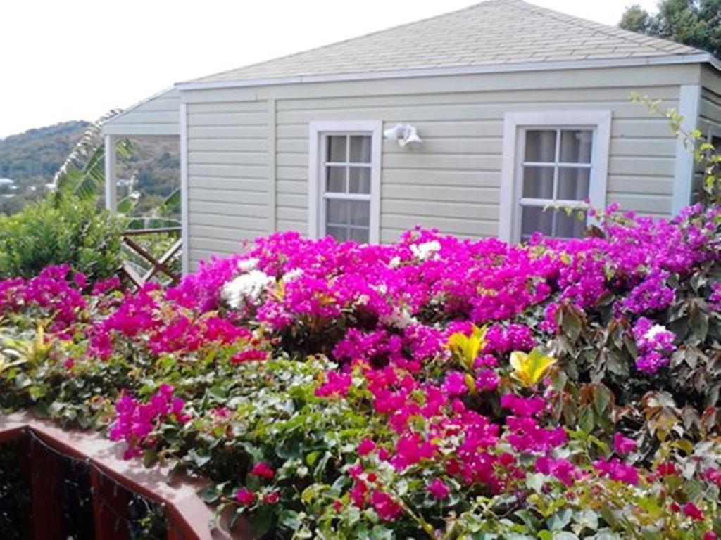The Ocean Inn Antigua photo 1