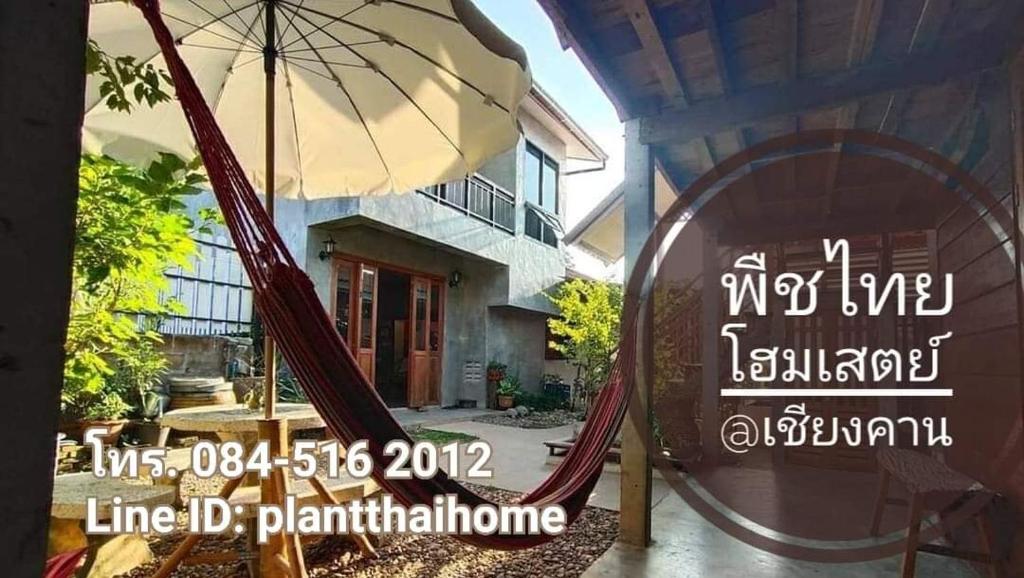 พืชไทยเชียงคาน(Plantthai) photo 1