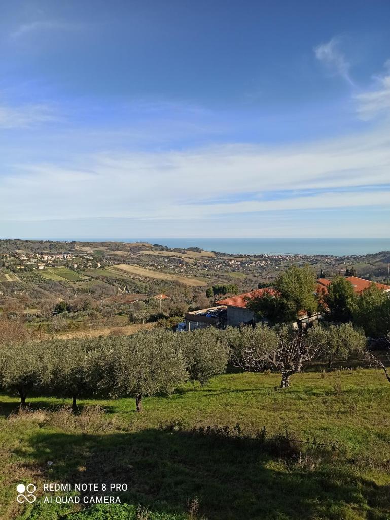 Casolare Azzurro photo 4