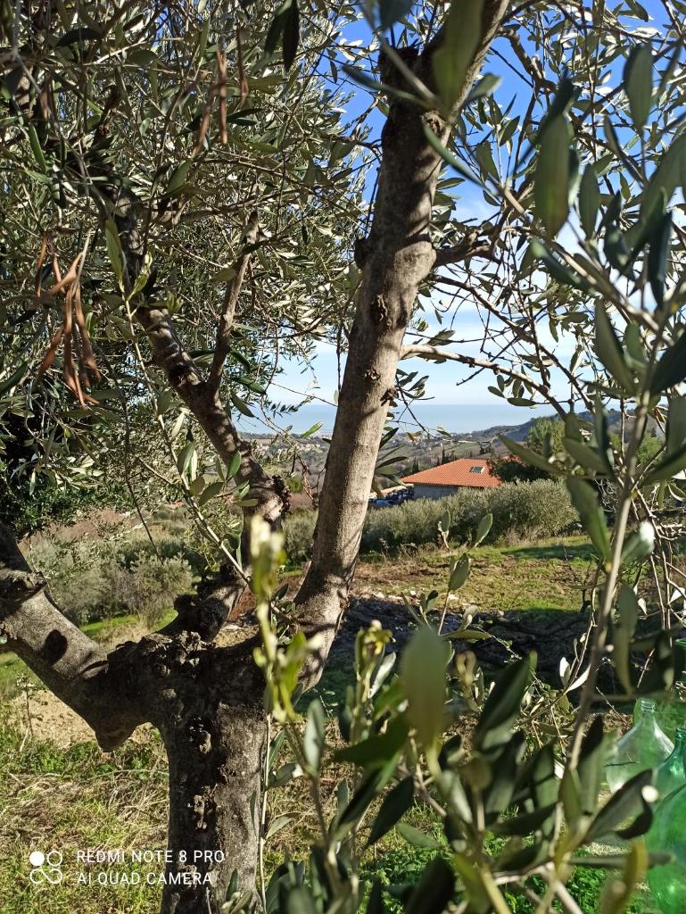 Casolare Azzurro photo 1