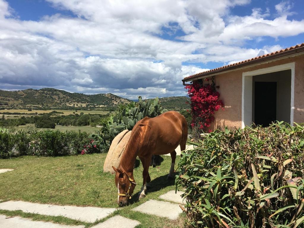 Borgo di Campagna photo 4