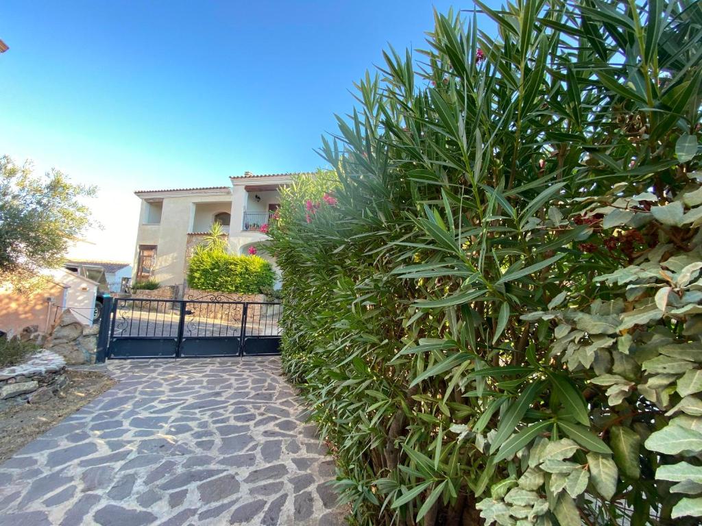 La casa di Robby photo 1