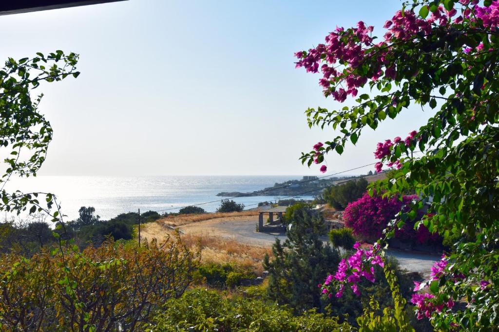 family home with a fantastic sea view, 5 minutes from the beaches photo 2