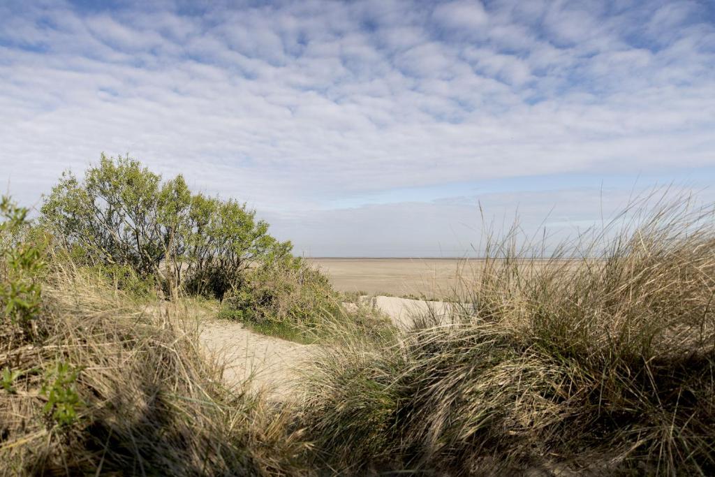 Appartementen Bredene photo 4