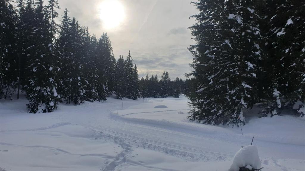 Chalet Hotel Le Mont Bisanne photo 4
