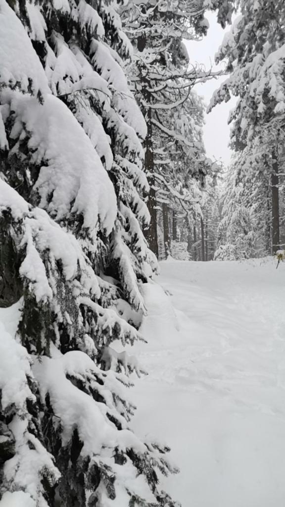 Apartman Marijana photo 2