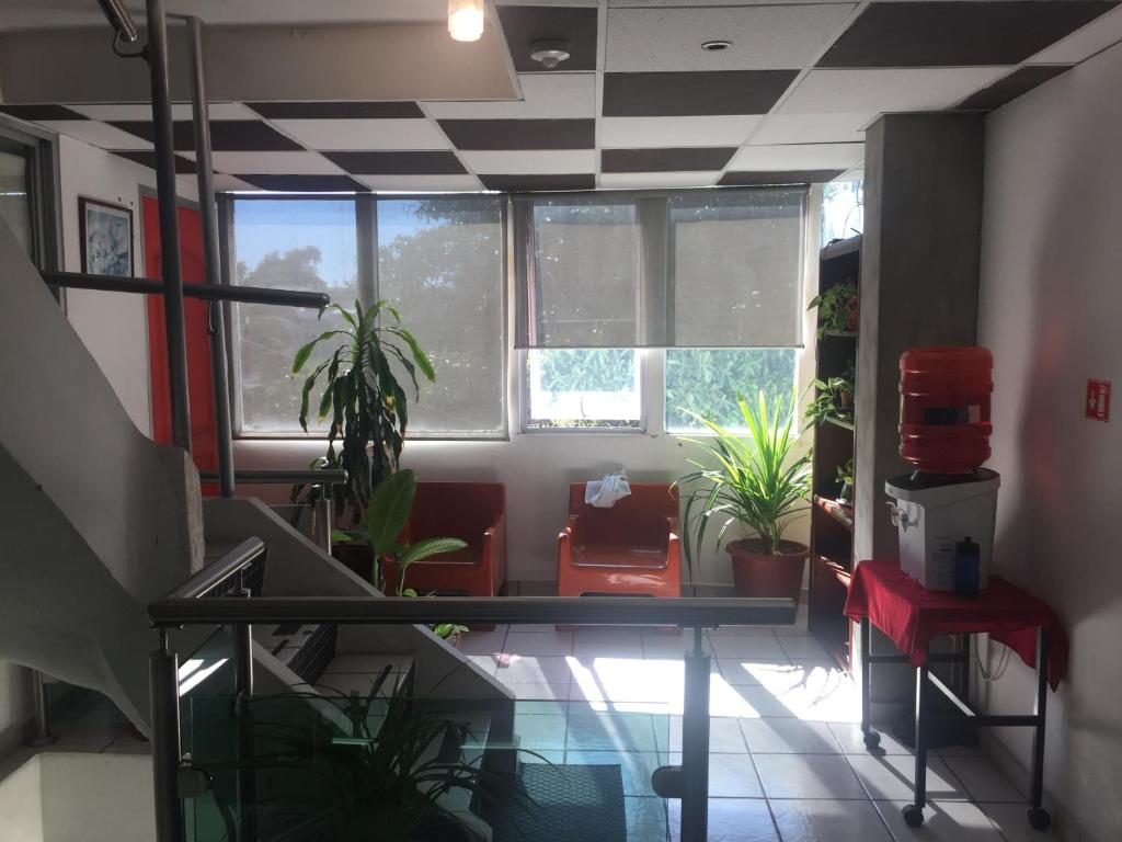 My Suite Ejecutiva photo 1
