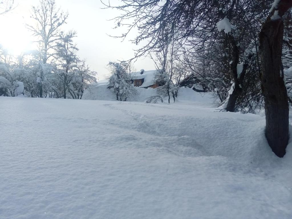 Greuth Hutte photo 1