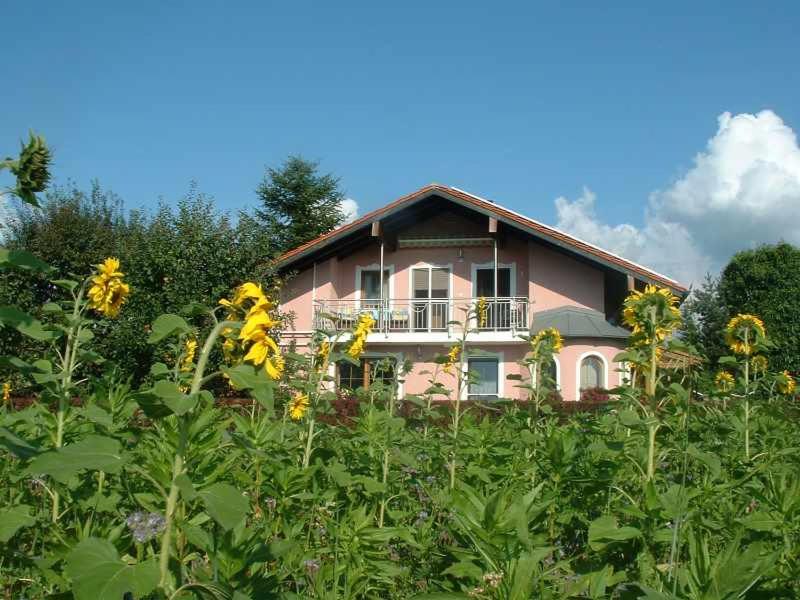 Haus Obermayer photo 2