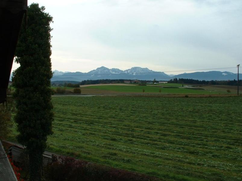 Haus Obermayer photo 3