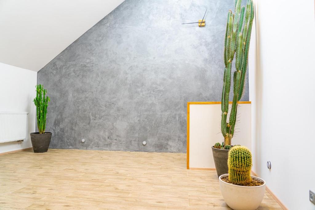 Apartmán ZA-KA 1 ubytování Litovel photo 2