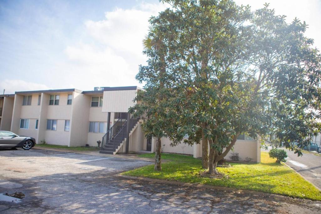 Sea Palm Condos 5E photo 1