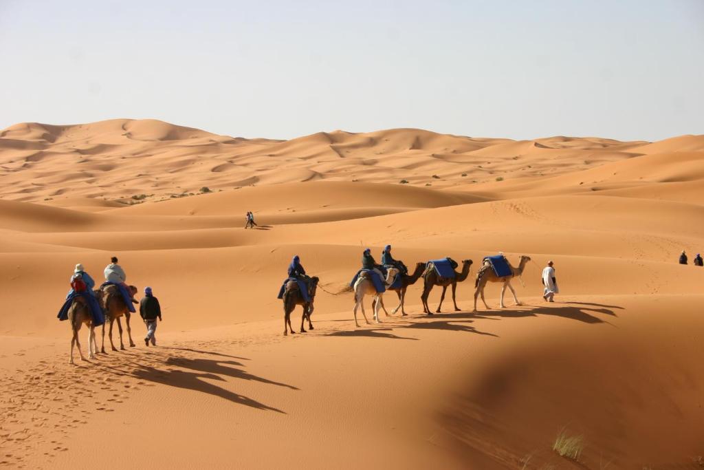 Nomad Camp photo 1