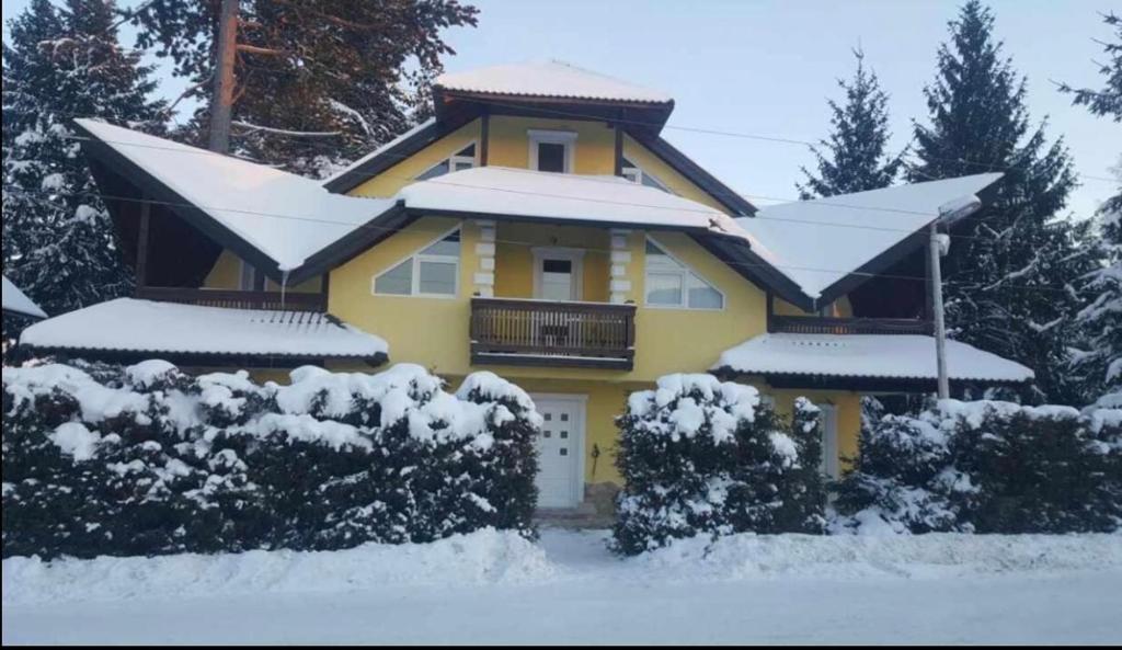 Yellow House photo 1