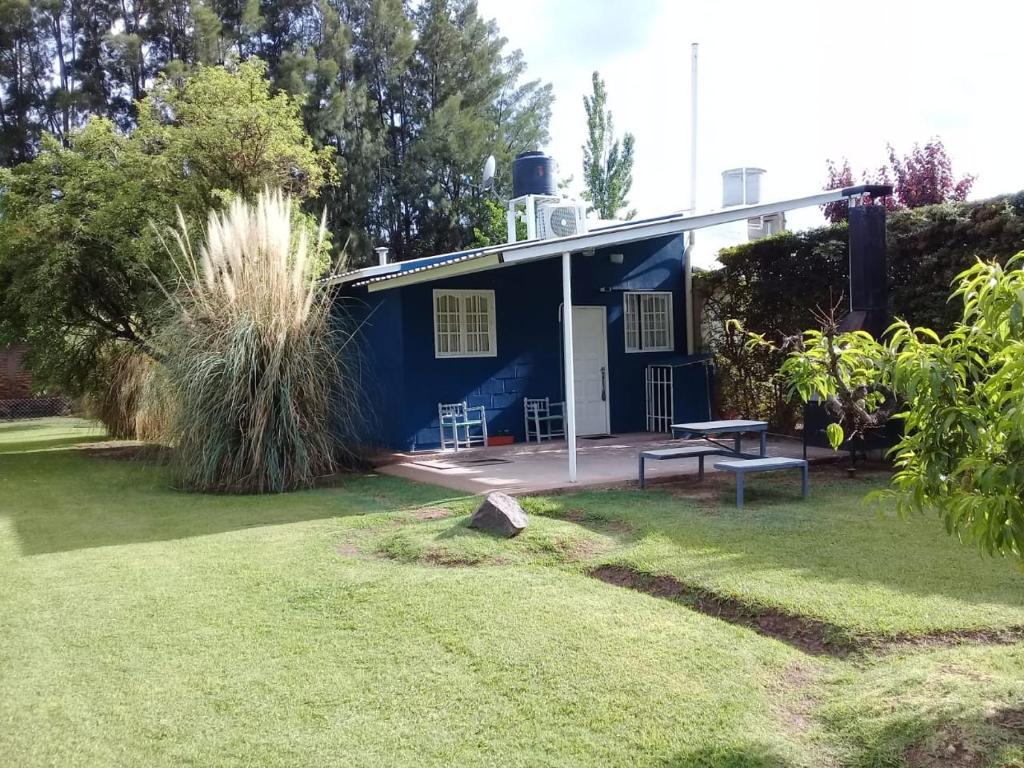 LA PALMERA photo 2