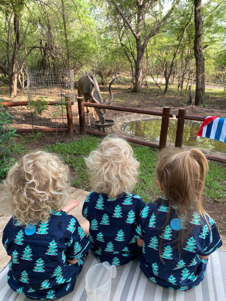 InniBos Marloth Park photo 4