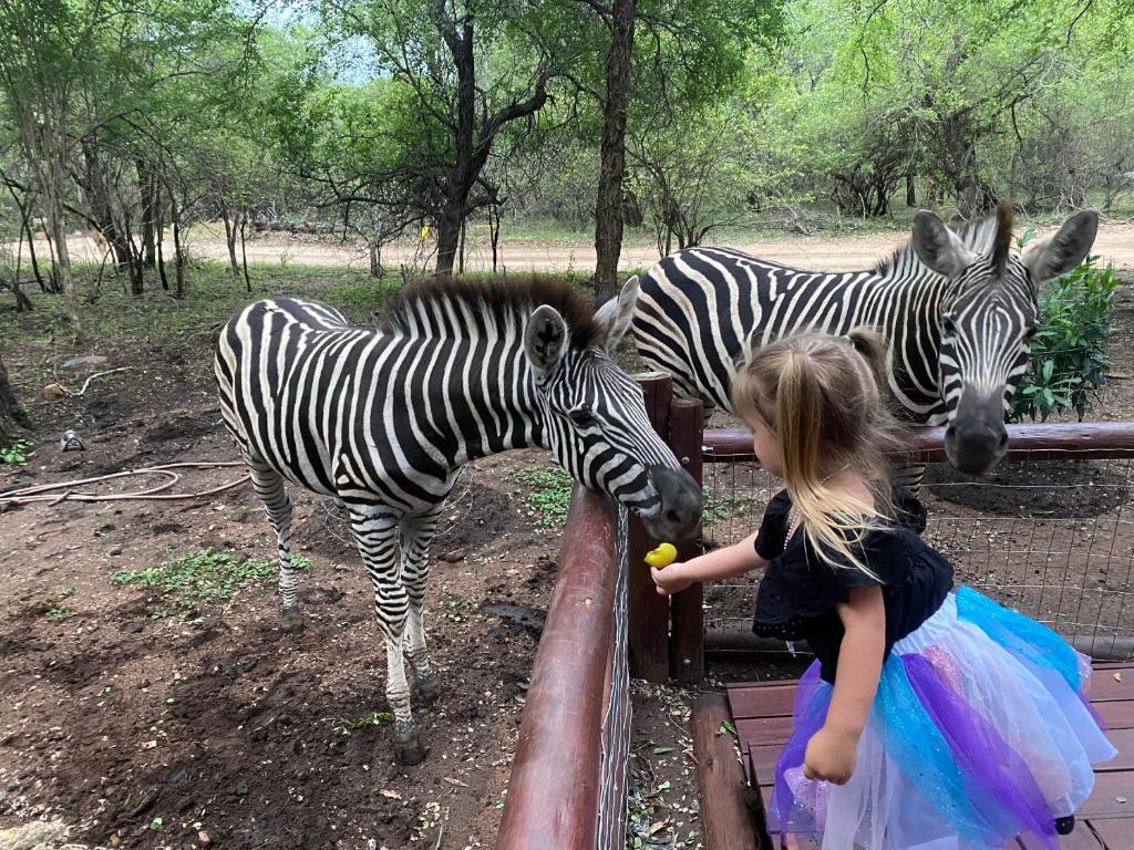 InniBos Marloth Park photo 1