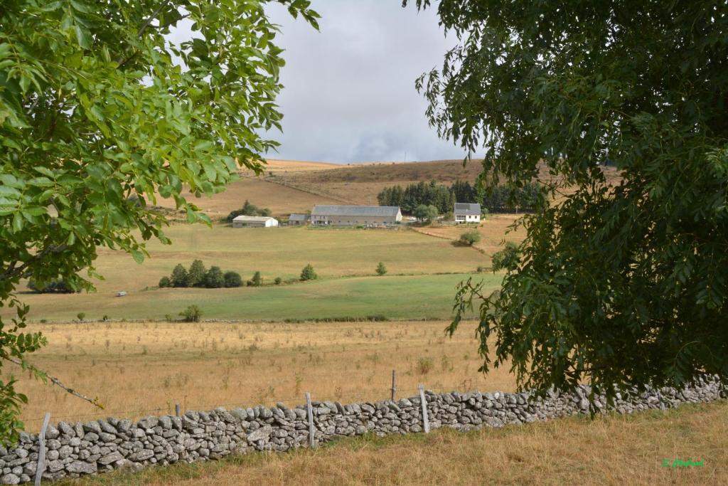 Horizon Aubrac Laguiole photo 4