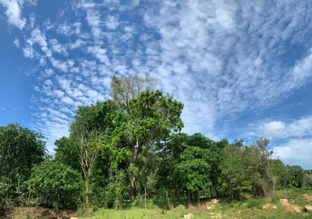 Captain's Cottage at Yala photo 3