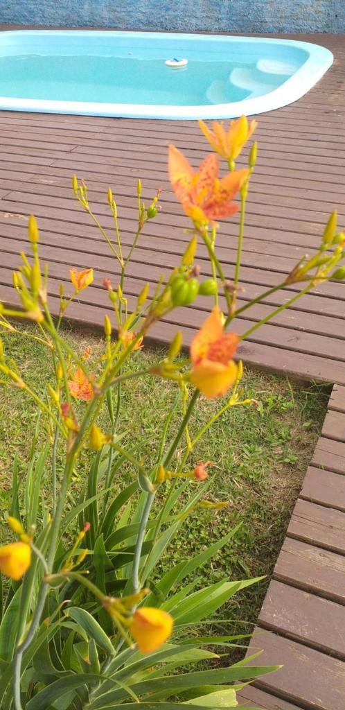pimenta rosa guesthouse photo 4