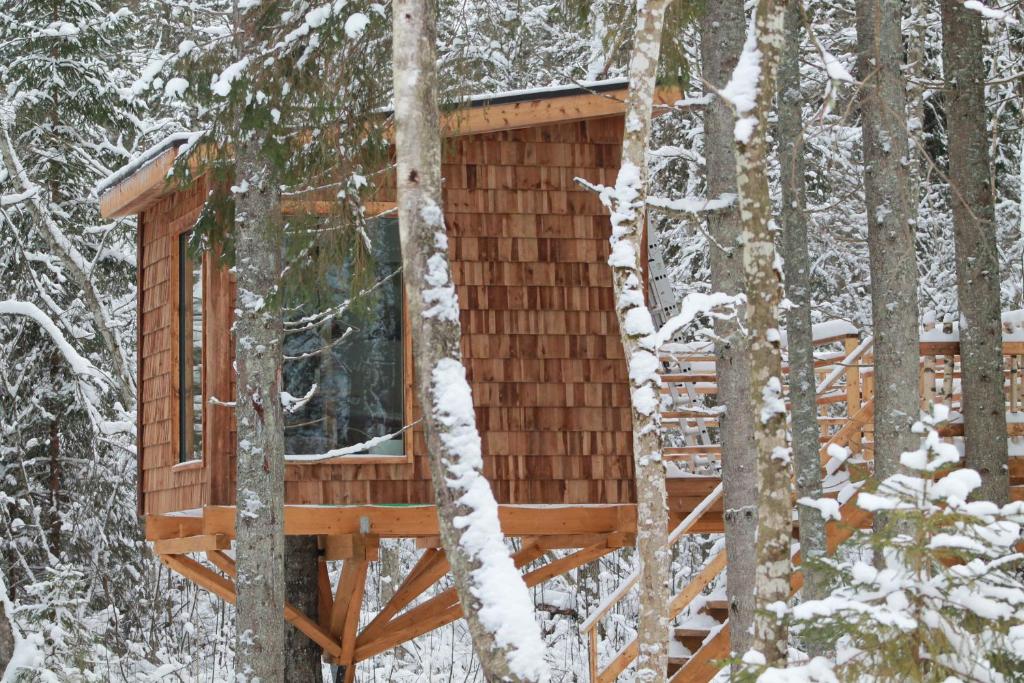 Tiigrisilma Treehouse photo 4