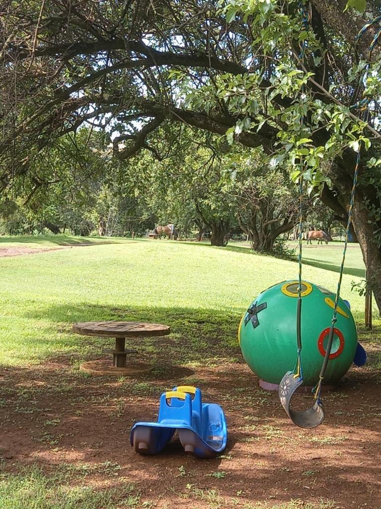 Thabametsi Farm photo 3