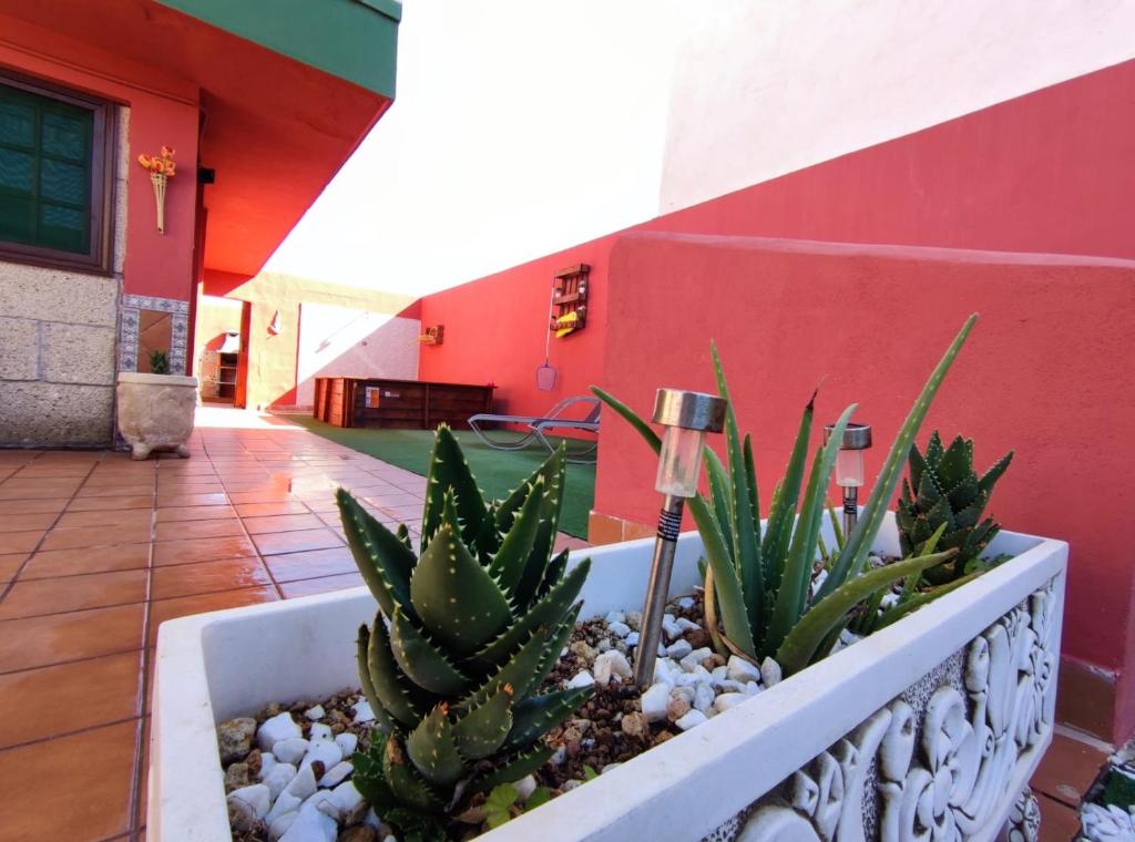 Casa Cielito Lindo photo 2