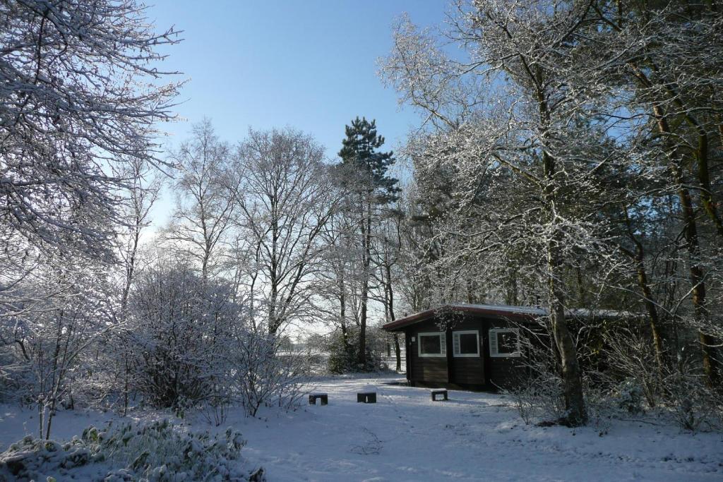 Finse Bungalow 4P, Comfort photo 2