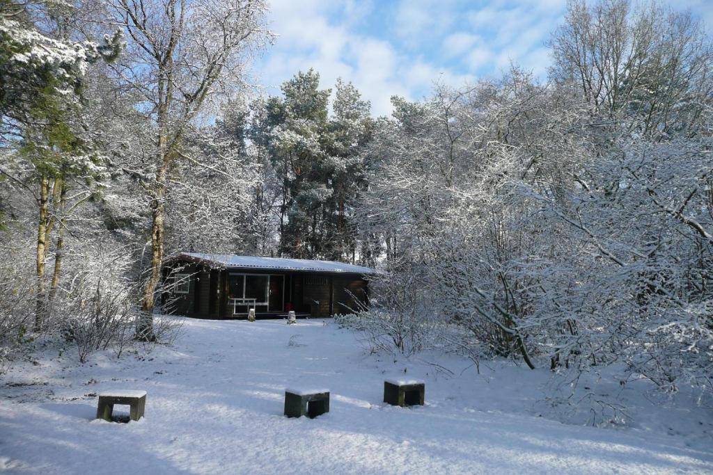 Finse Bungalow 4P, Comfort photo 3