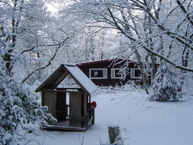 Finse Bungalow 4P, Comfort photo 4