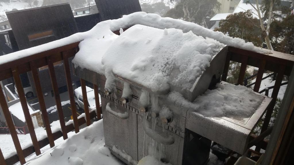 Aneeki Ski Lodge photo 3