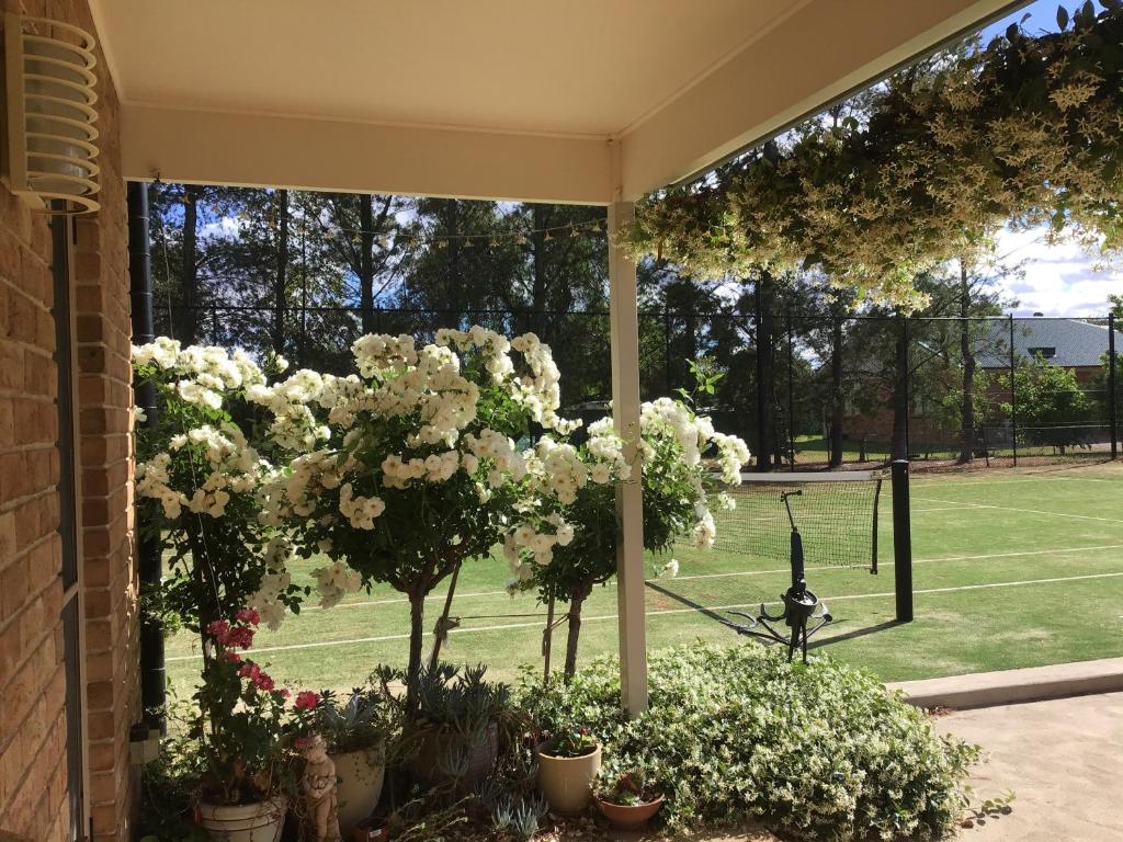 Putta Bucca B&B photo 2