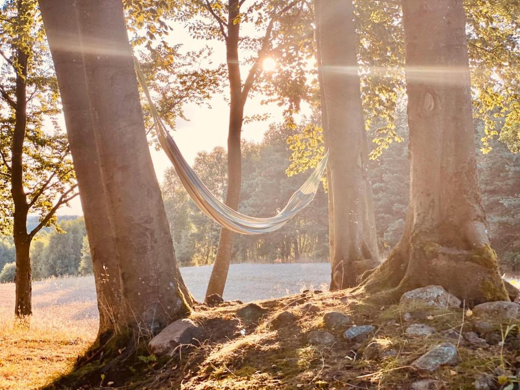 Buczylas Siedlisko photo 3