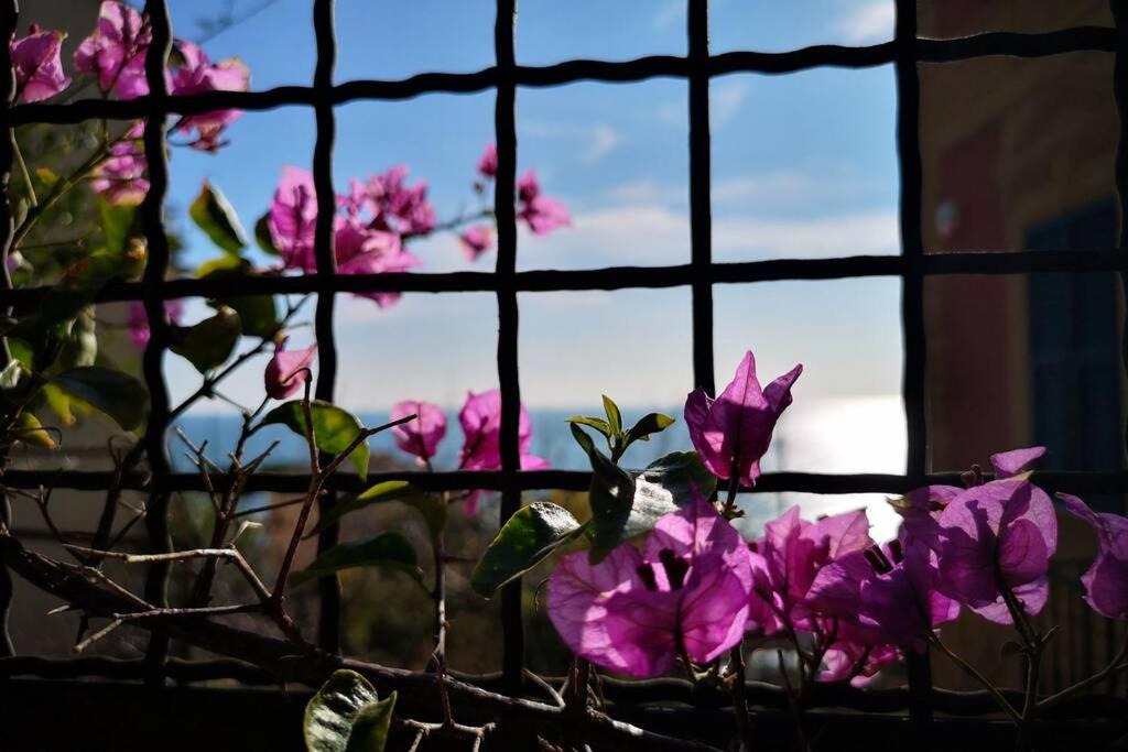 La Casa di Milly photo 2