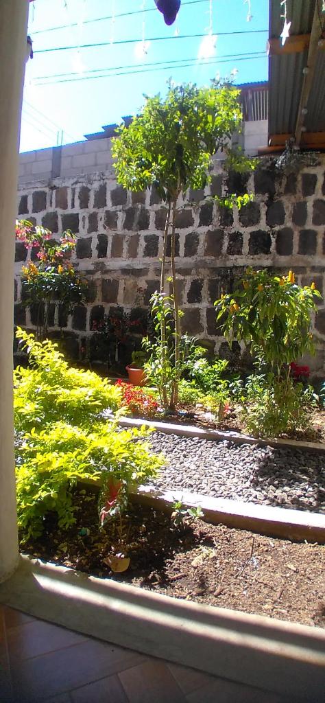 Casa LLEMO photo 3