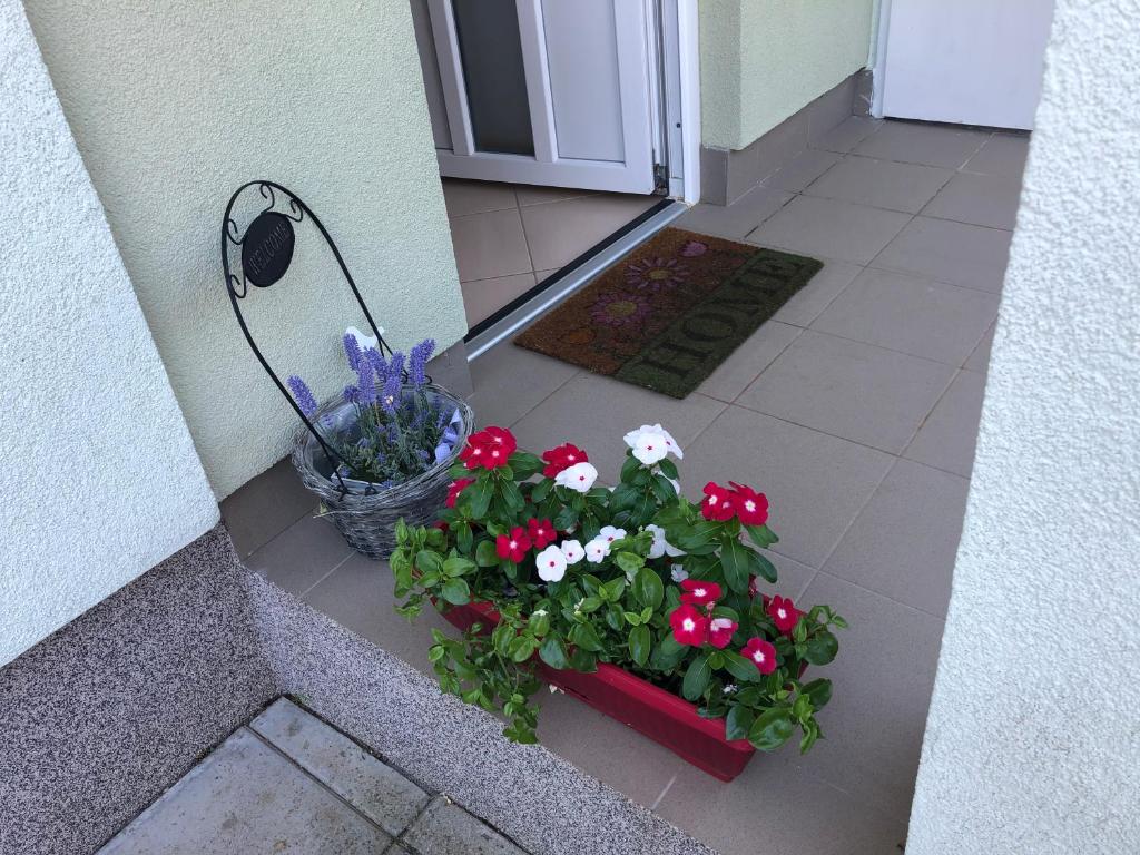 Apartman Igor photo 3