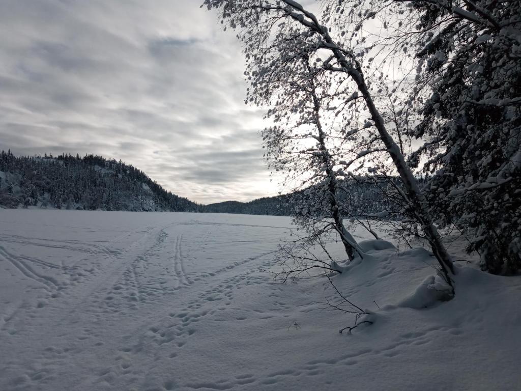 Bed and Breakfast Hadeland photo 4
