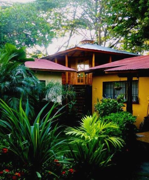 Villa Silvestre photo 4