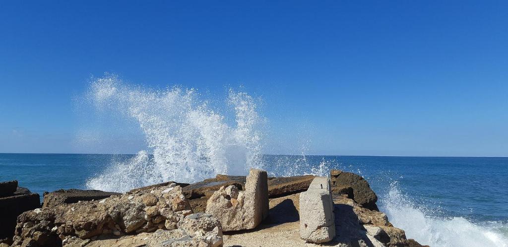 Etis garden seafront photo 3
