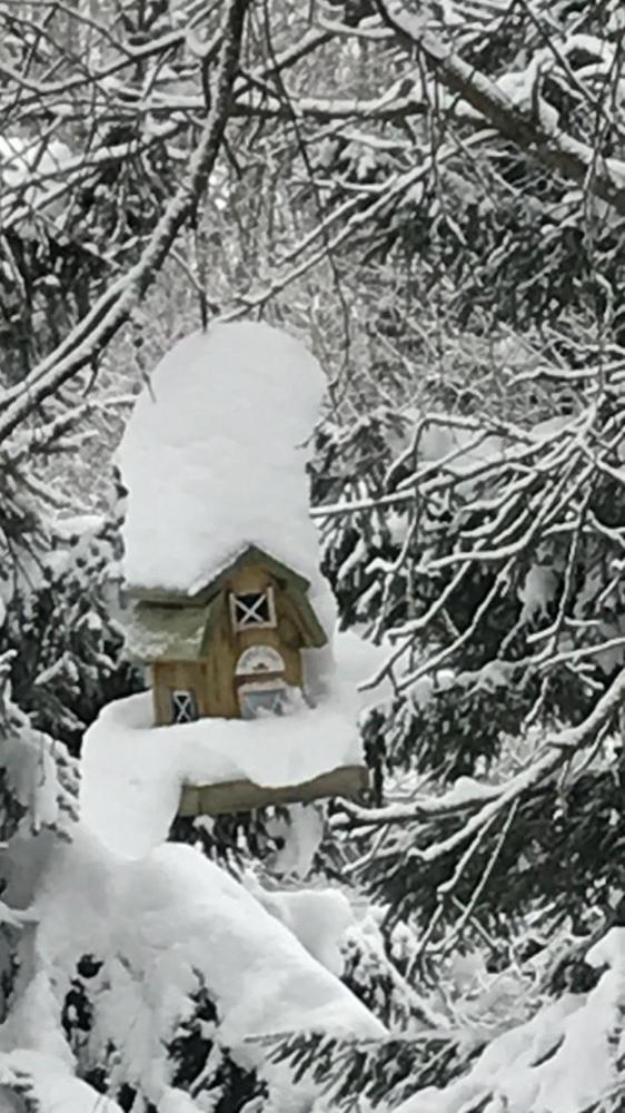 Sněženka photo 1