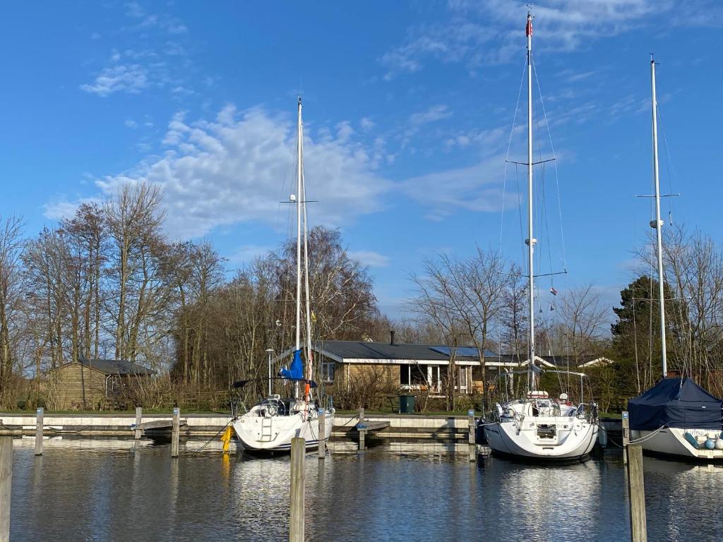 De Vier Winden photo 1