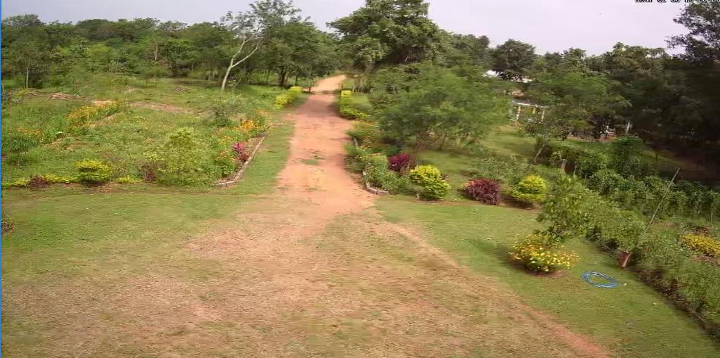 Peacock Resort photo 1