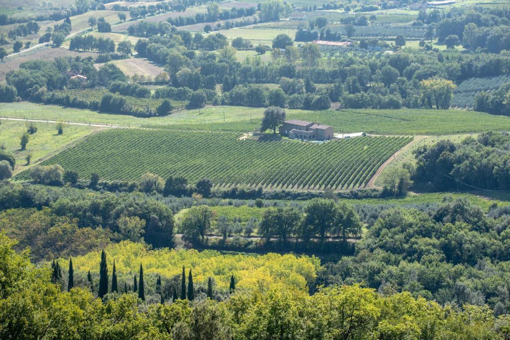 Podere La Doccia photo 3