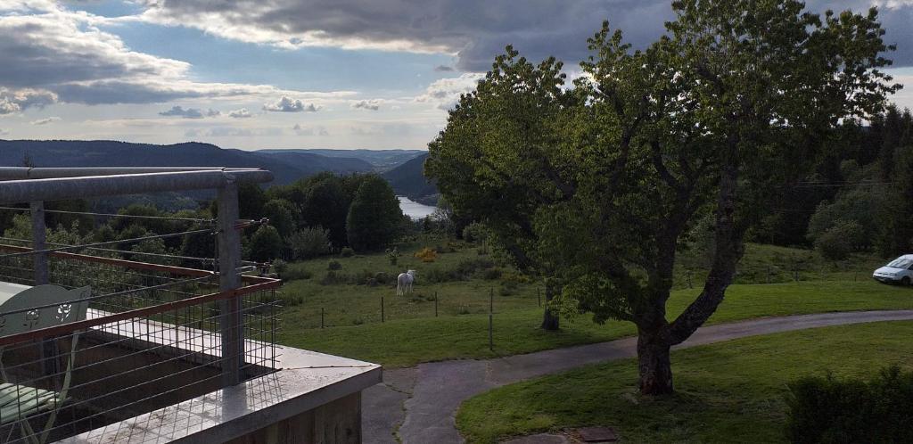 STUDIO HAUTEUR GERARDMER photo 2