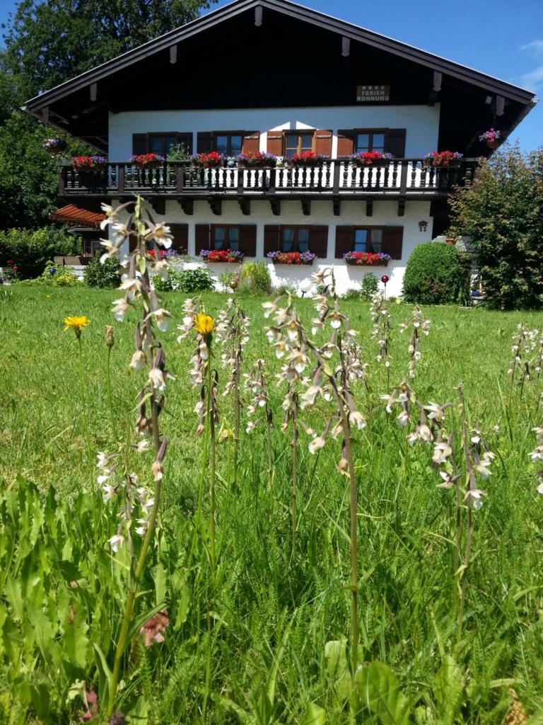 Ferienwohnung Deinbeck photo 1