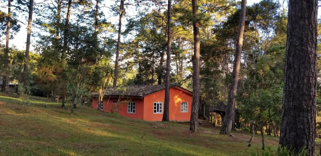 Cabañas Bosque llano de la Virgen photo 4